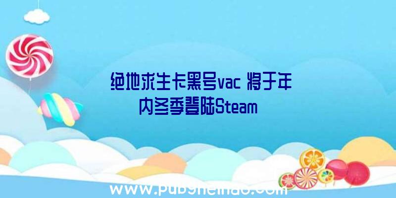 《绝地求生卡黑号vac》将于年内冬季登陆Steam